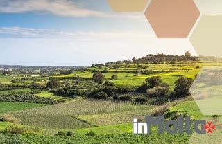 corsi di inglese a Malta durante un tirocinio
